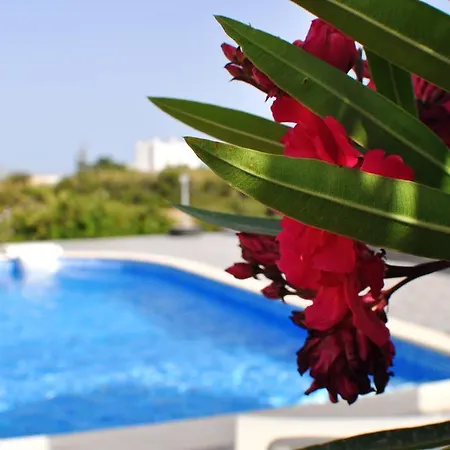 Villa Ariadne House Agia Anna (Naxos)