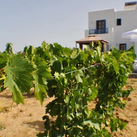 Villa Ariadne House *