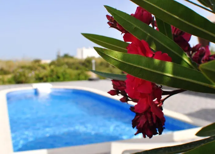 Villa Ariadne House Agia Anna (Naxos)