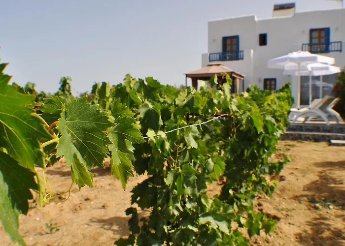 Villa Ariadne House *